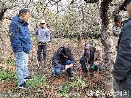 祭祀坑#河南殷墟王陵区新发现460多座祭祀坑