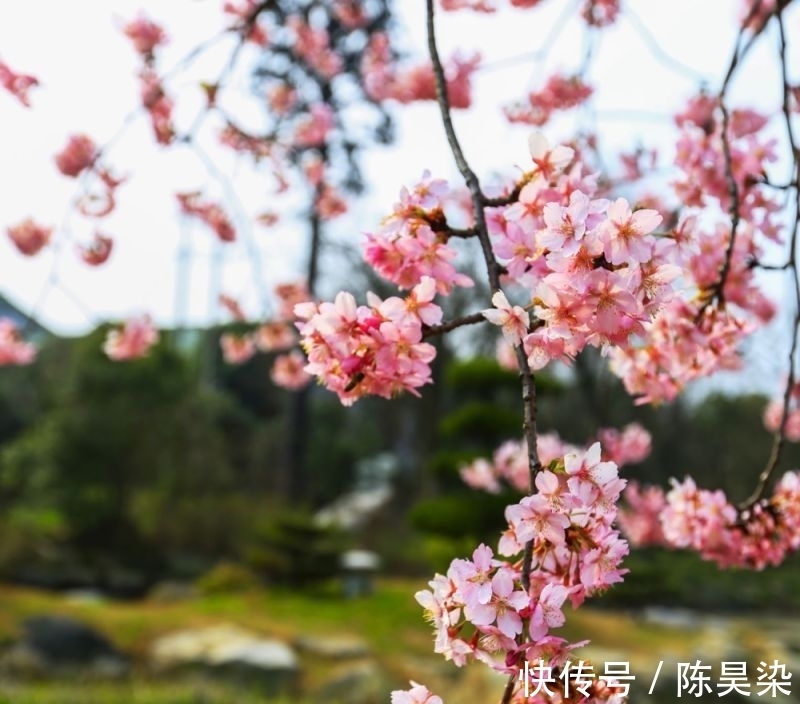 出师表&堪称元代诗词的天花板，居然是这首